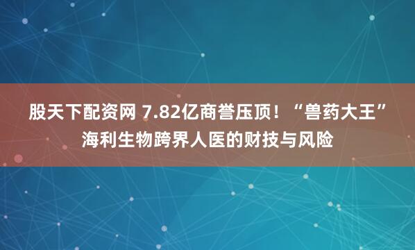 股天下配资网 7.82亿商誉压顶！“兽药大王”海利生物跨界人医的财技与风险