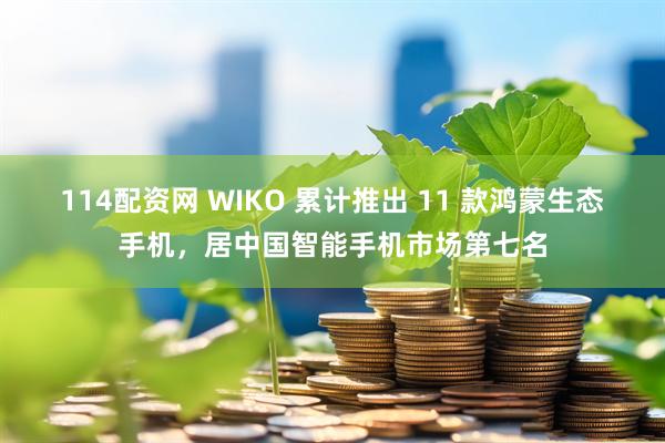 114配资网 WIKO 累计推出 11 款鸿蒙生态手机，居中国智能手机市场第七名