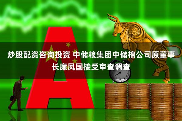 炒股配资咨询投资 中储粮集团中储棉公司原董事长廉凤国接受审查调查
