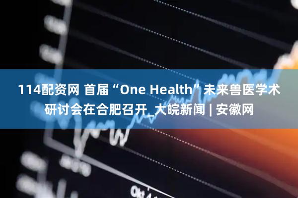 114配资网 首届“One Health”未来兽医学术研讨会在合肥召开_大皖新闻 | 安徽网