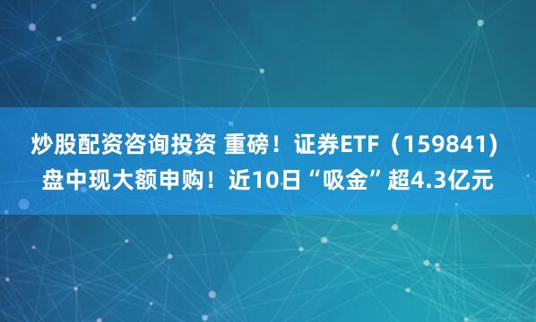 炒股配资咨询投资 重磅！证券ETF（159841) 盘中现大额申购！近10日“吸金”超4.3亿元