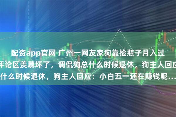配资app官网 广州一网友家狗靠捡瓶子月入过万，存款已达六位数，评论区羡慕坏了，调侃狗总什么时候退休，狗主人回应：小白五一还在赚钱呢…