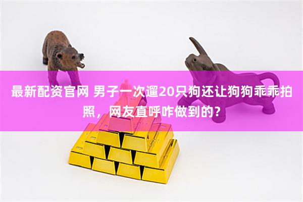 最新配资官网 男子一次遛20只狗还让狗狗乖乖拍照，网友直呼咋做到的？