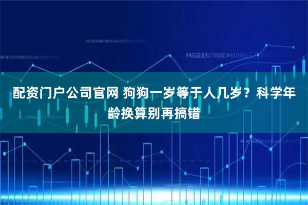 配资门户公司官网 狗狗一岁等于人几岁？科学年龄换算别再搞错