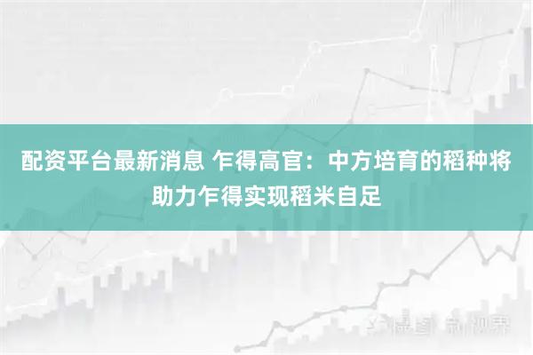 配资平台最新消息 乍得高官：中方培育的稻种将助力乍得实现稻米自足