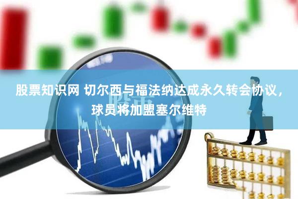 股票知识网 切尔西与福法纳达成永久转会协议，球员将加盟塞尔维特